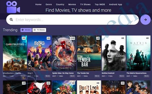 moviesjoy plus