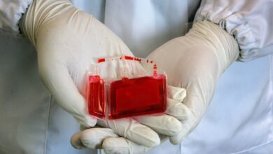 Cord Blood
