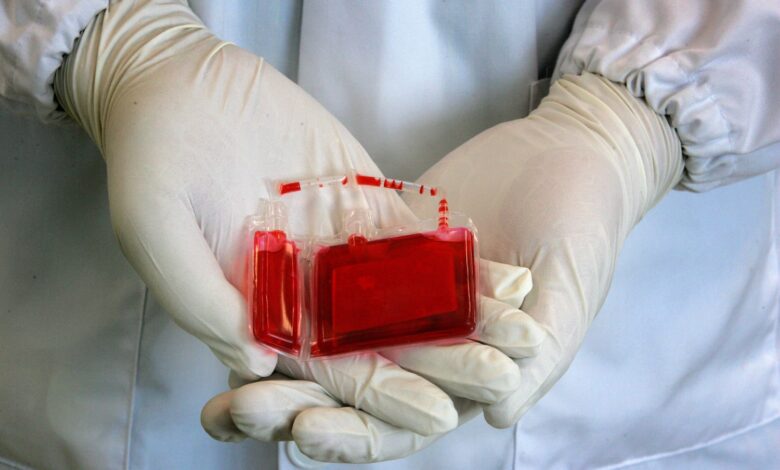 Cord Blood