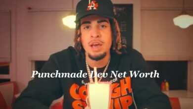 Punchmade Dev Net Worth