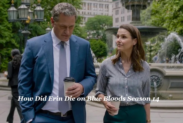 How Did Erin Die on Blue Bloods Season 14